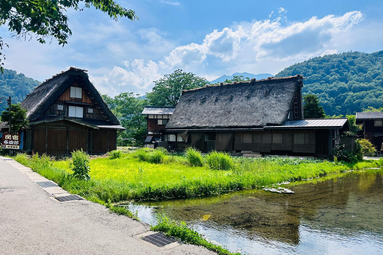 京都：天桥立和宫间私人一日旅行