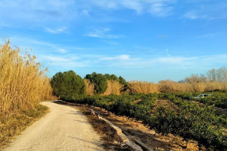 Active Bike Tour: River Turia Natural Park. Private Bike Tour 5 hours