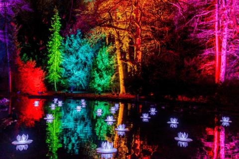 Dresda: Biglietto d'ingresso per il Giardino di Natale di DresdaDresda: biglietto d'ingresso al Giardino di Natale