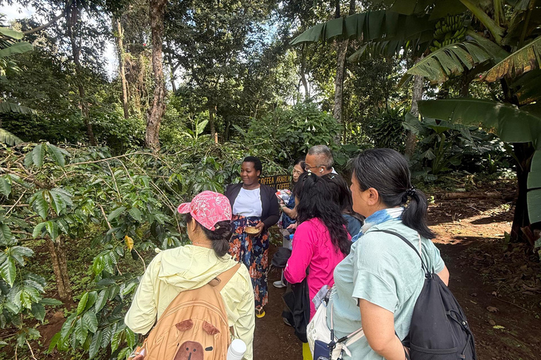 From Moshi: Marangu Chagga Caves & Waterfall & Coffee Tour