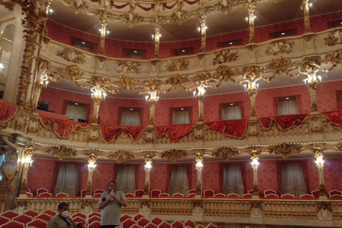 Residence of Munich private tour with skip the line ticket Tour plus Treasure Chamber