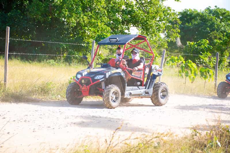 Vip Buggy Cart Deep South VIP Buggy | GetYourGuide
