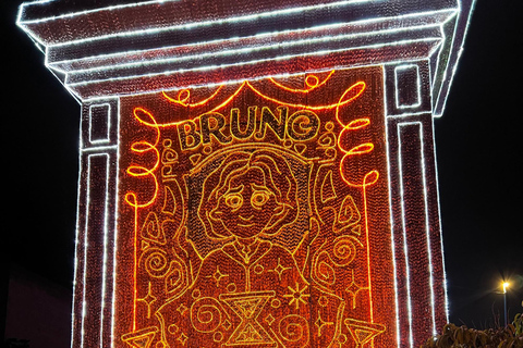 麦德林：乘坐主题车辆的圣诞灯光城市观光