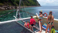 St. Kitts vela di 4 ore e snorkeling con open bar e pranzo - Hizvo