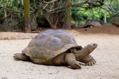 Denpasar: Family-friendly activities