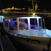 Budapest: Crucero privado en barco de 1 hora