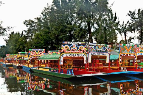 Crucero de 5 horas por Xochimilco y tour por la universidad