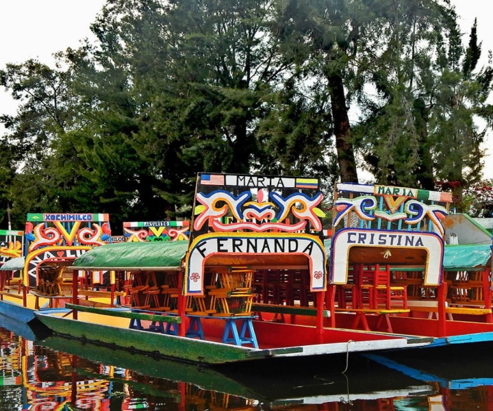 Xochimilco 5–Hour Boat Ride and University Tour