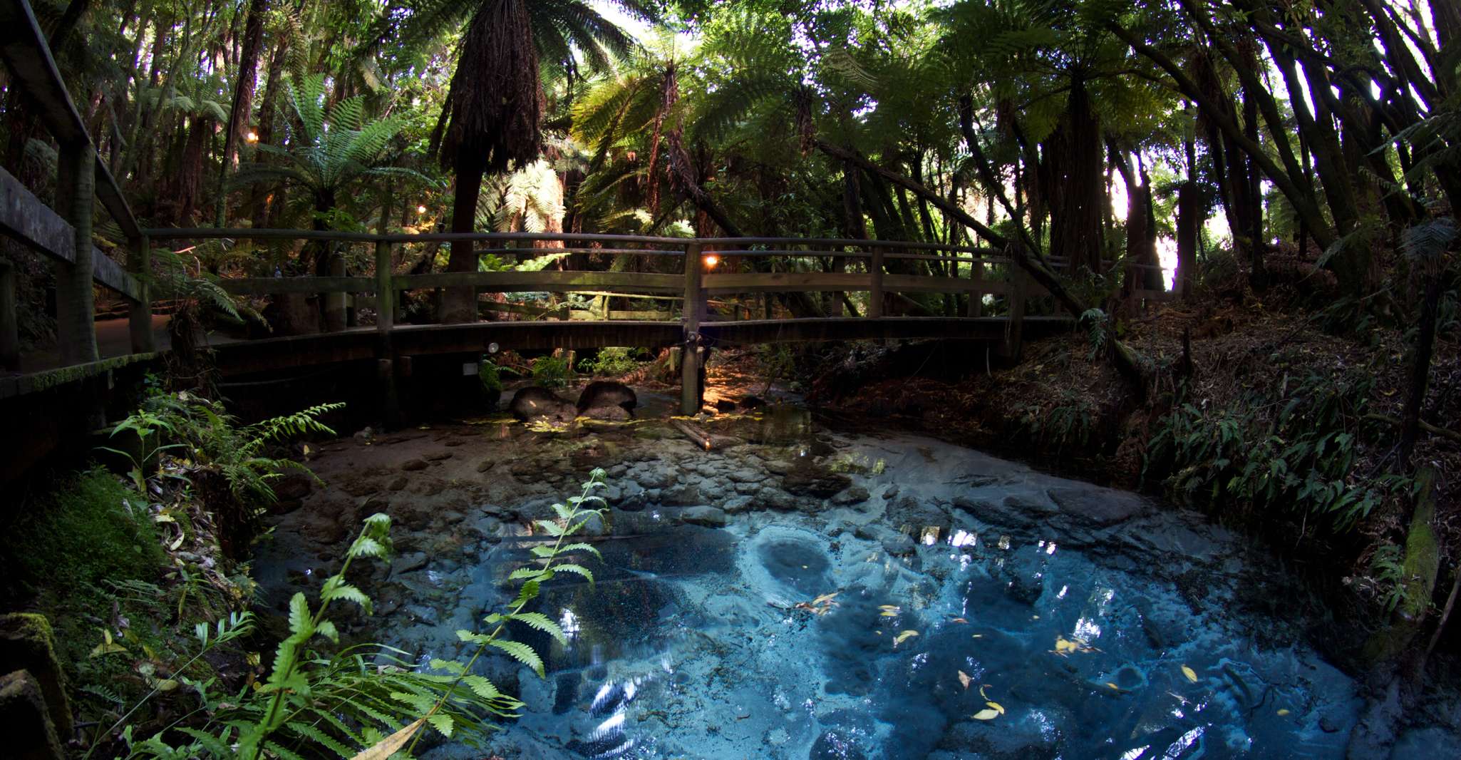 Villaggio Mitai Maori, Esperienza culturale e Cena a buffet - Hizvo