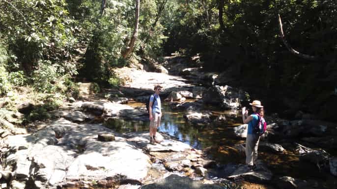 bach ma national park private jeep tour with 3hour hike