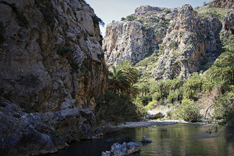 Ab Rethymno: Palmenstrand von Preveli & Plakias - TagestourTagestour: Englisch- und deutschsprachiger Guide