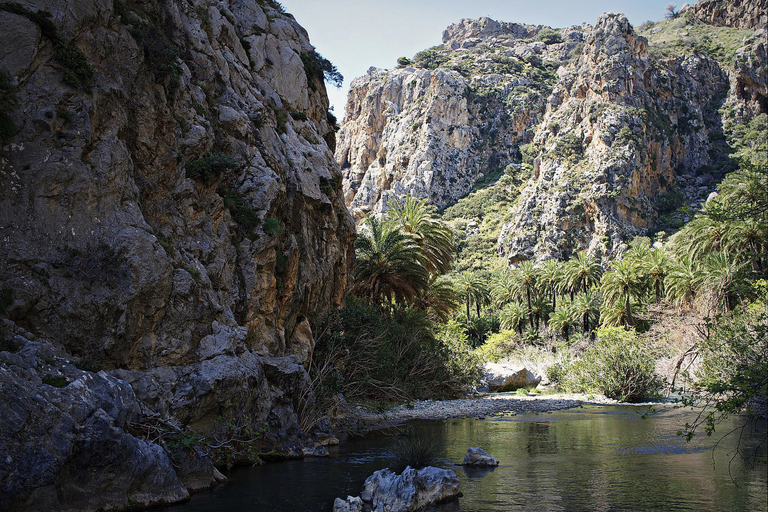 Ab Rethymno: Palmenstrand von Preveli & Plakias - TagestourTagestour: Englisch- und deutschsprachiger Guide