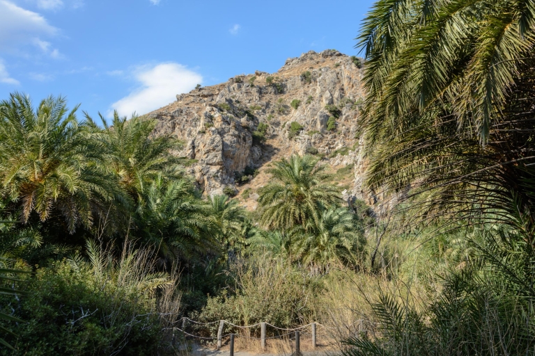 Ab Rethymno: Palmenstrand von Preveli & Plakias - TagestourTagestour: Englisch- und deutschsprachiger Guide