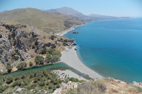 Ab Rethymno: Palmenstrand von Preveli & Plakias - TagestourTagestour: Englisch- und deutschsprachiger Guide