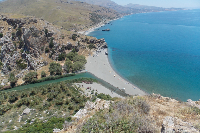 Ab Rethymno: Palmenstrand von Preveli & Plakias - TagestourTagestour: Englisch- und deutschsprachiger Guide