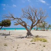 Ab Chania: Tagestour zur Insel Elafonisi