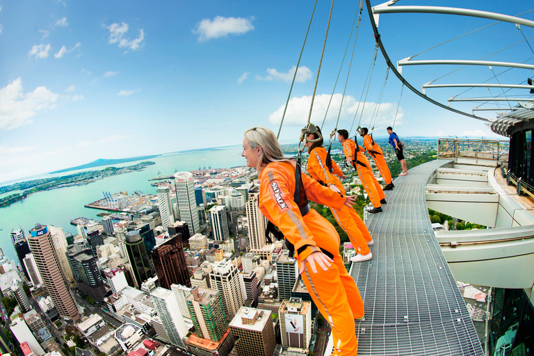 Auckland: SkyWalk with Sky Tower Entry Ticket
