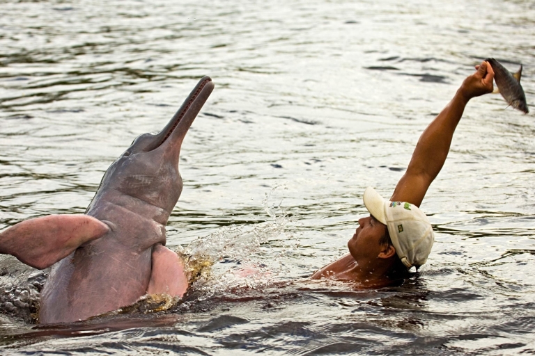 Amazonas-Delfin-Tagestour ab Manaus