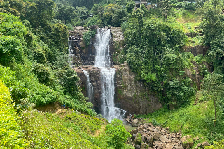 Sri Lanka: 10-Day Private Tour with Driver