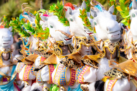 Excursion to the Santa Cruz de Tenerife Carnival Parade from Puerto de La Cruz