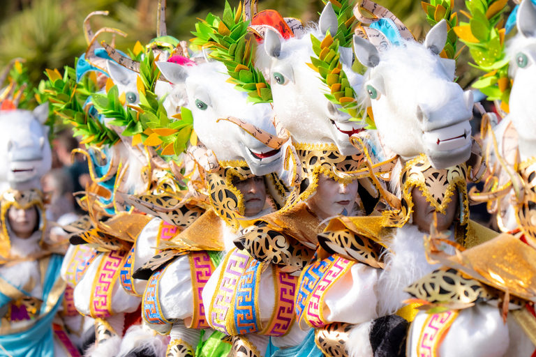 Excursion to the Santa Cruz de Tenerife Carnival Parade from Puerto de La Cruz