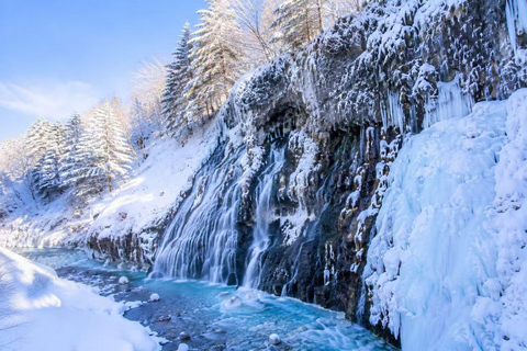 From Sapporo: Snow Fun, Shirahige Falls & Ningle Terrace