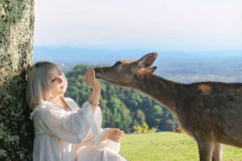 Nara: Secret Photo Tour & Deer Whisperer 3-Hour Private Photoshoot & Deer Interaction
