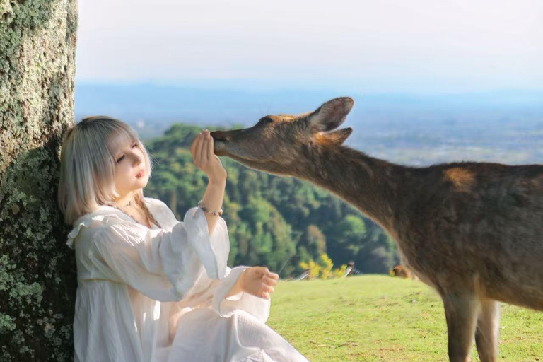 Nara: Secret Photo Tour & Deer Whisperer 3-Hour Private Photoshoot & Deer Interaction