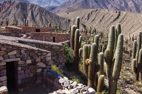 Salta: Excursión de un día a la Quebrada de Humahuaca y Purmamarca