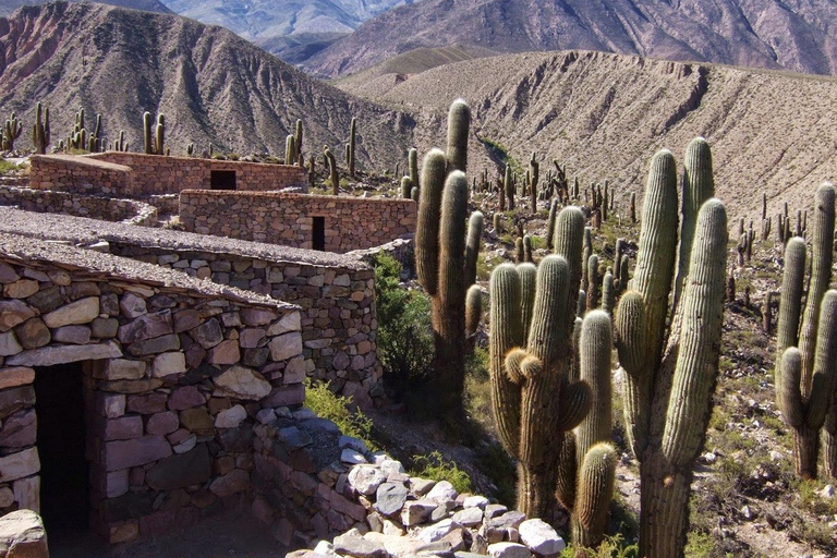 Salta : Excursion à la Quebrada de Humahuaca et à Purmamarca