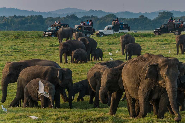 Sri Lanka : Excursão de 2 dias a Sigiriya, Dambulla e Kandy