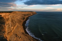 From Puerto Madryn, Valdes Peninsula Full-Day Tour - Housity