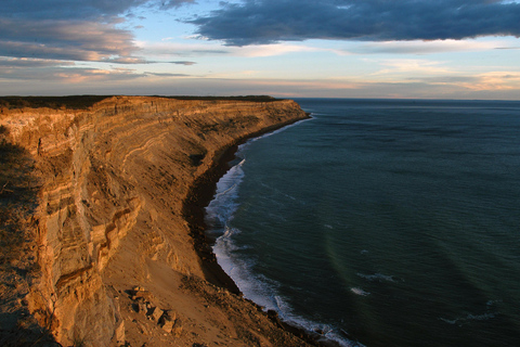 From Puerto Madryn: Valdes Peninsula Full-Day Tour