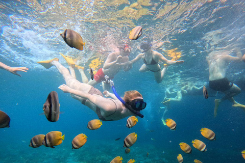 From Bali: Explore West Nusa Penida with Snorkeling From Bali: Nusa Penida West Highlights with Snorkeling