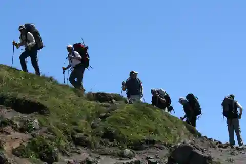 Half-Day Trekking at Llao Llao Hill