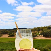 Adelaide: Fleurieu Rock Climb & Gin Tasting