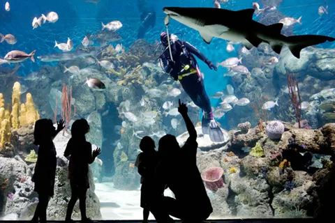 Desde Buenos Aires: Dia inteiro no Parque Ecológico Temaiken