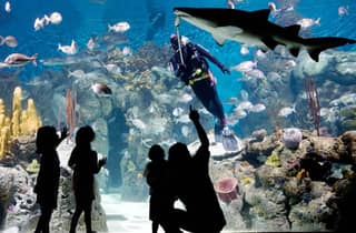 Von Buenos Aires aus: Ganztägiger Temaiken Eco Park