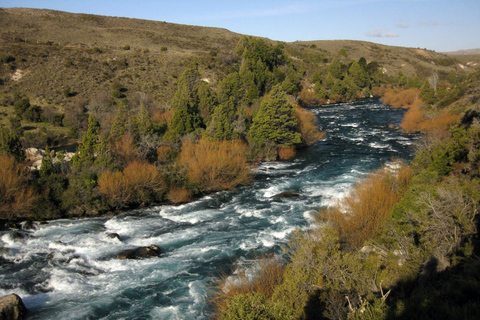 Vanuit Bariloche: San Martin de los Andes en 7 Meren CircuitTour in het Spaans