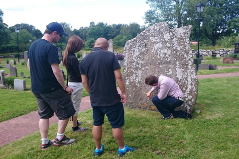 De Estocolmo: Tour guiado pela cultura viking com trasladoDe Estocolmo: Visita Guiada à Cultura Viking com Traslado