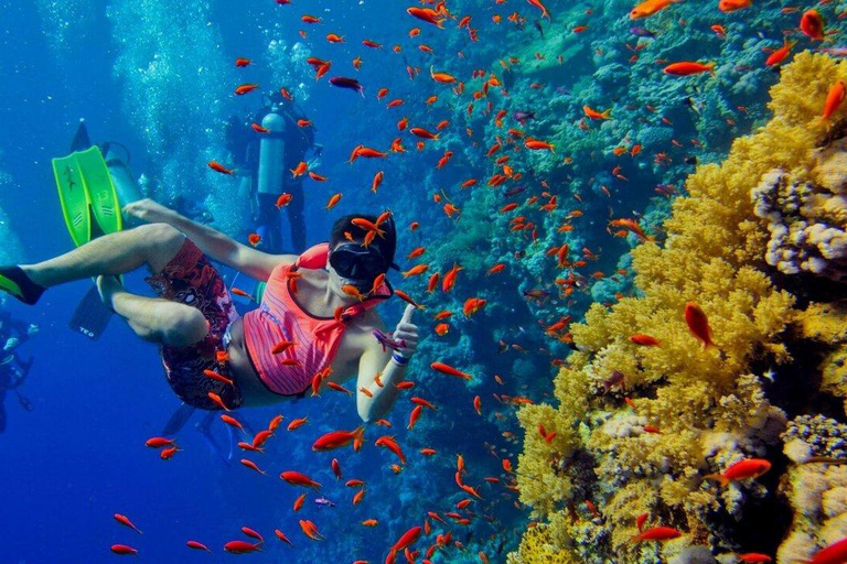 Zanzibar: Safari Blue Day Trip with Snorkeling & Lunch Shared tour with MEETING POINT