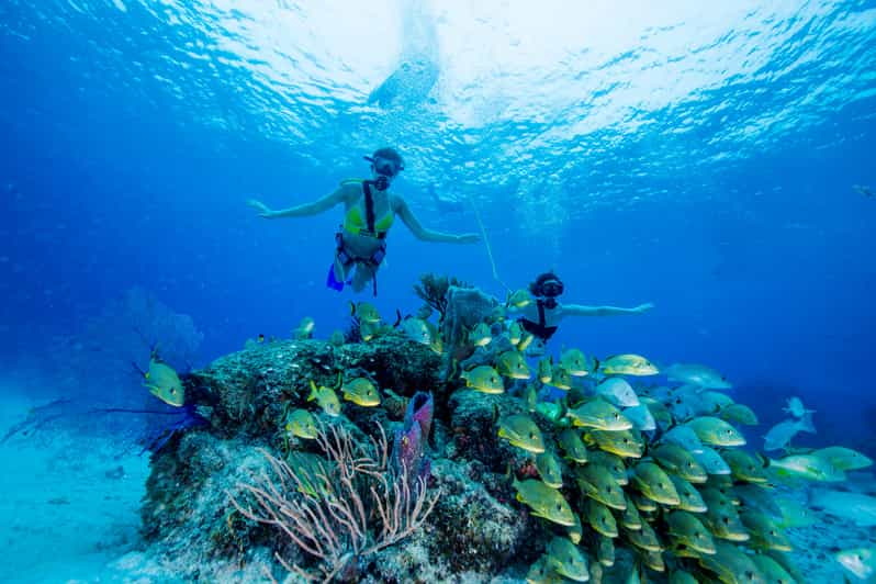 SNUBA Diving at Pelican Rock in Cabo San Lucas