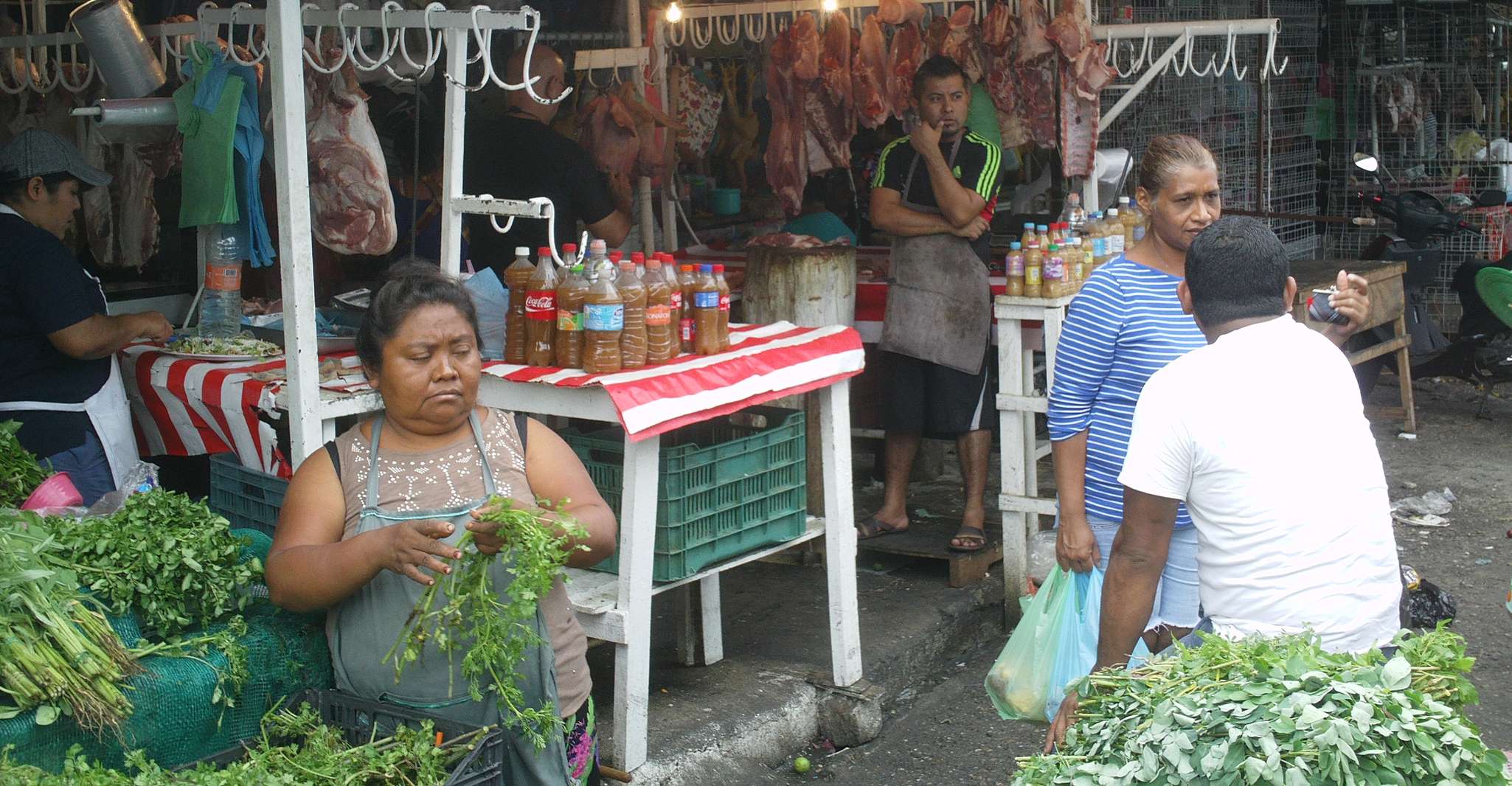 .Though City Market bezoeken handen op Mexicaans koken & Lunch - Hizvo