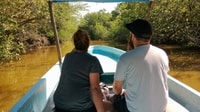 .Acapulco, Baby Turtle Release Tres Palos Lagoon Eco w/Lunch - Hizvo