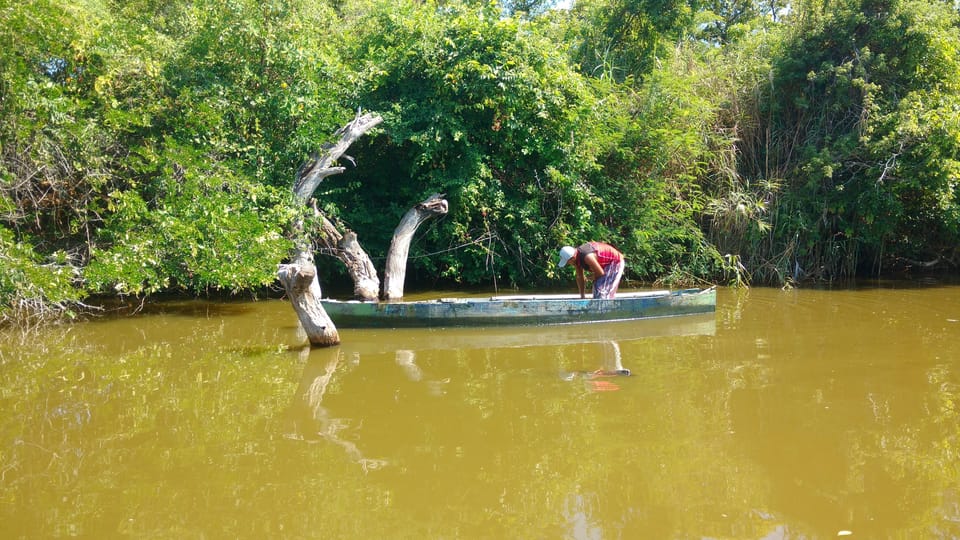 .Acapulco, Baby Turtle Release Tres Palos Lagoon Eco w/Lunch - Hizvo