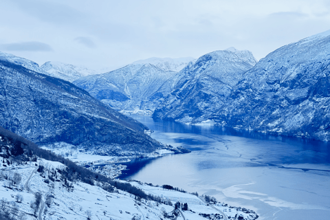 Flåm Flexible Tour with Stegastein, cruise and train include