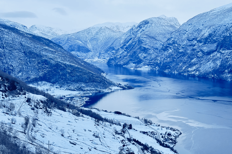 Flåm Flexible Tour with Stegastein, cruise and train include