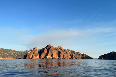 Calvi: Guided speedboat tour to Scandola Calvi: Guided tour by speedboat to Scandola