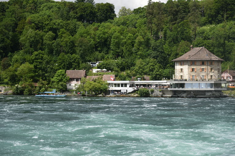 Tour privado: Zúrich a Titisee-Neustadt y cataratas del RinDesde Zúrich: viaje a Titisee-Neustadt y cataratas del Rin