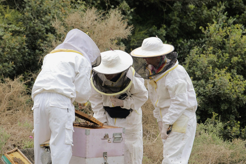 Kalamata: Beekeeping Experience with Honey Tasting